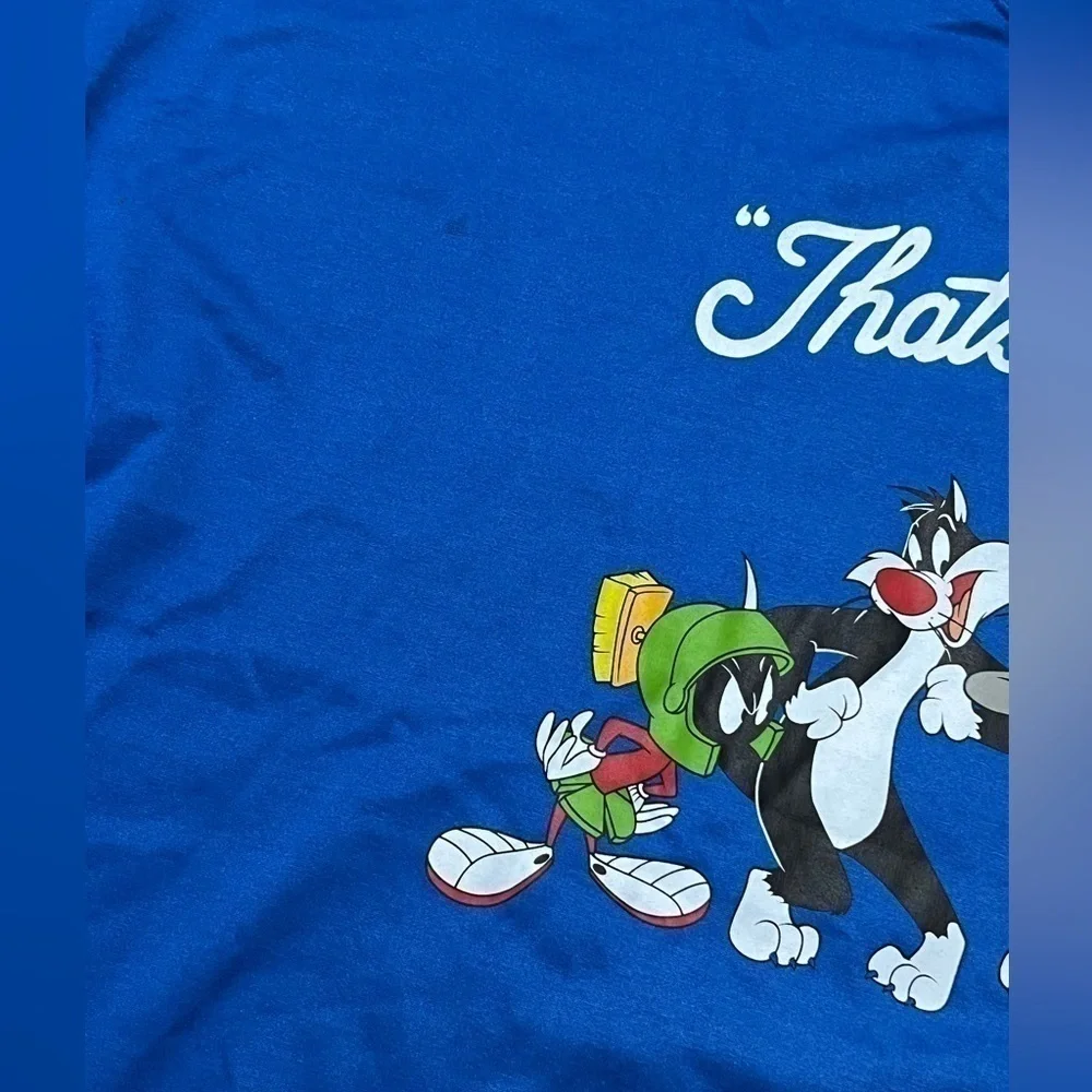 Looney Tunes Royal Blue Pullover Men’s  (Sz 2X)